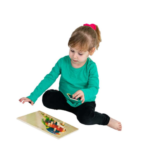 Encastrement BP : Le Perroquet