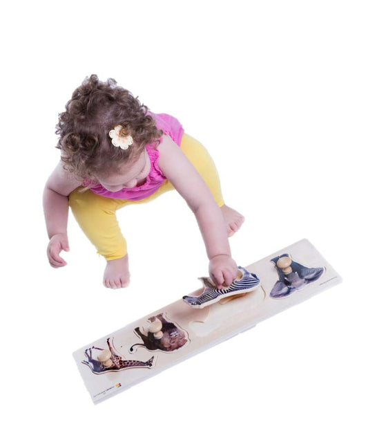 Encastrement BG : Les Animaux Sauvages