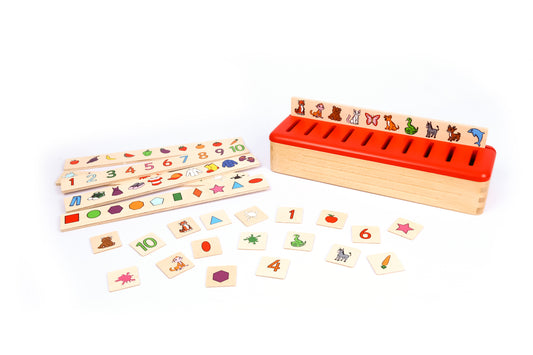 Montessori Pedagogy: Sorting Box