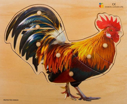 BP recess: The Rooster