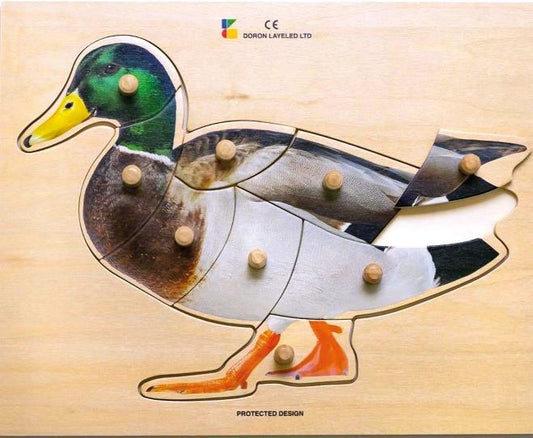 BP recess: The Duck