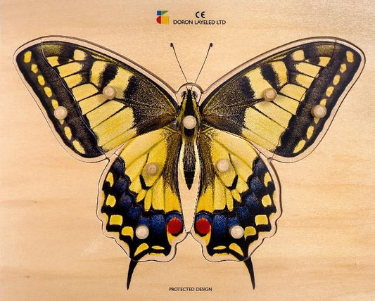 BP recessed: The Butterfly