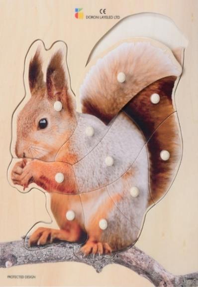 BP Embedding: The Squirrel