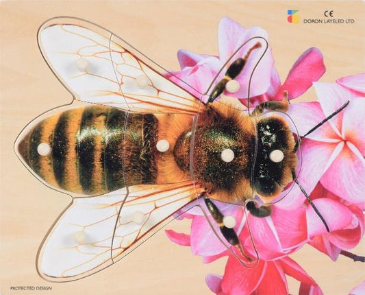 BP Embedding: The Bee