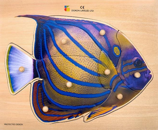 BP recess: The Fish