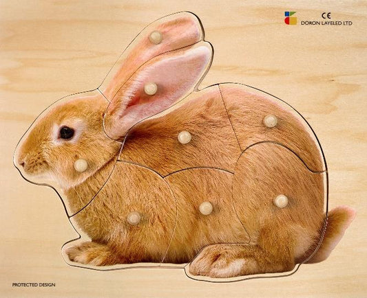 BP recess: The Rabbit