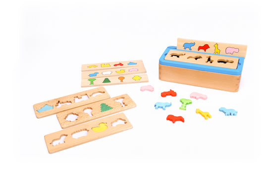 Montessori Pedagogy: Animal Sorting Box