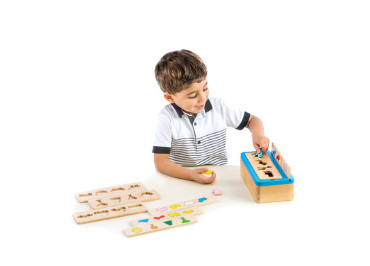 Montessori Pedagogy: Animal Sorting Box