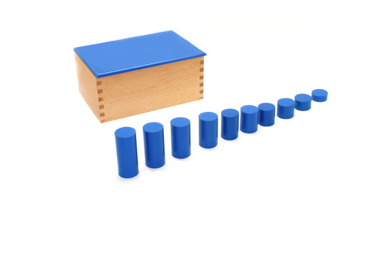 Montessori Pedagogy: Blue Cylinders